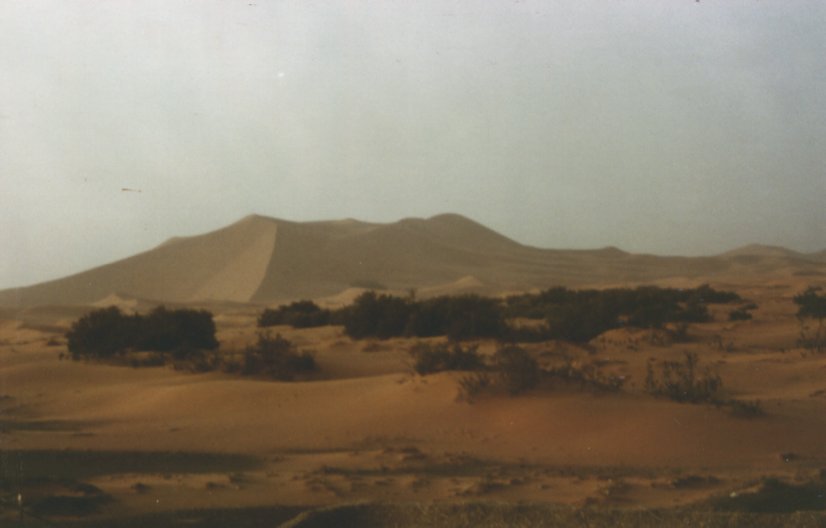 maroc87-15.jpg